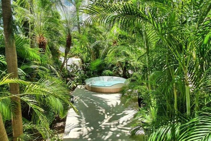 Penthouse Well Located And Wifi 50mb - Downtown Area Apartamento Playa del Carmen